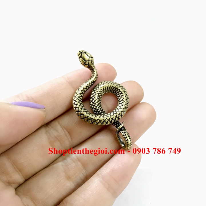 Móc Khóa Tượng Đồng Con Rắn - SP005251